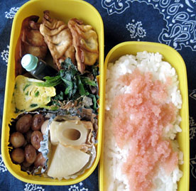 2/25お弁当